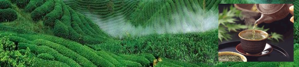 �}�_�̾W(w��ng)