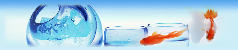 �gӭ�����R�������h�����B(t��i)��I(y��)�l(f��)չ���޹�˾