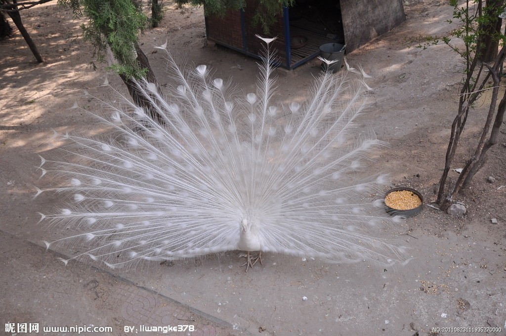 �{(l��n)��ȸ