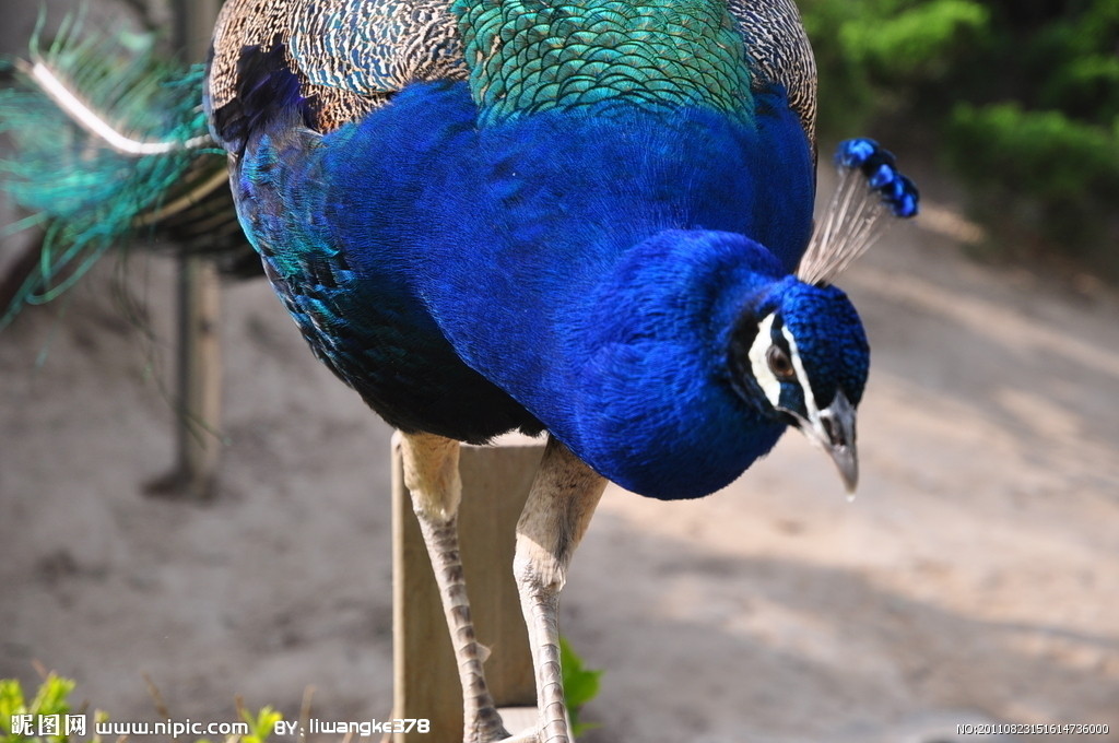 �{(l��n)��ȸ