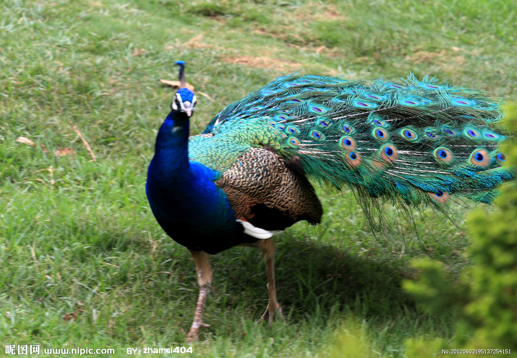 �{(l��n)��ȸ