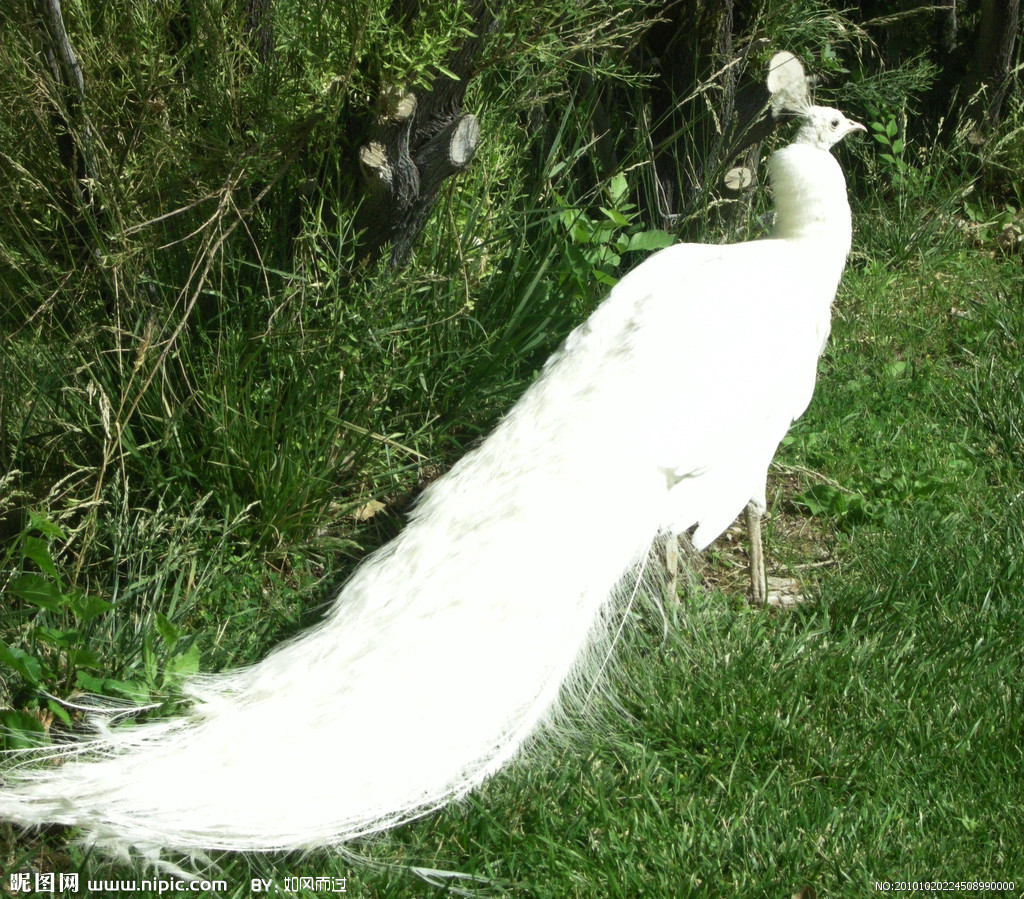 �{(l��n)��ȸ