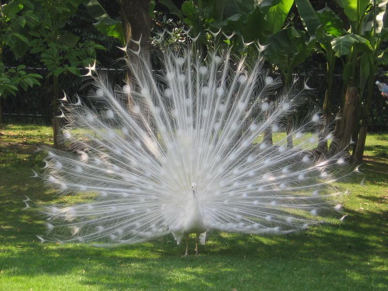 �{(l��n)��ȸ