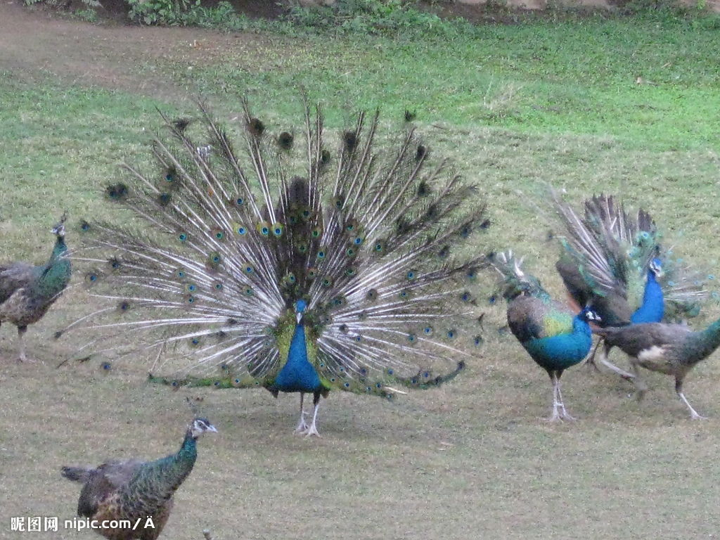 �{(l��n)��ȸ