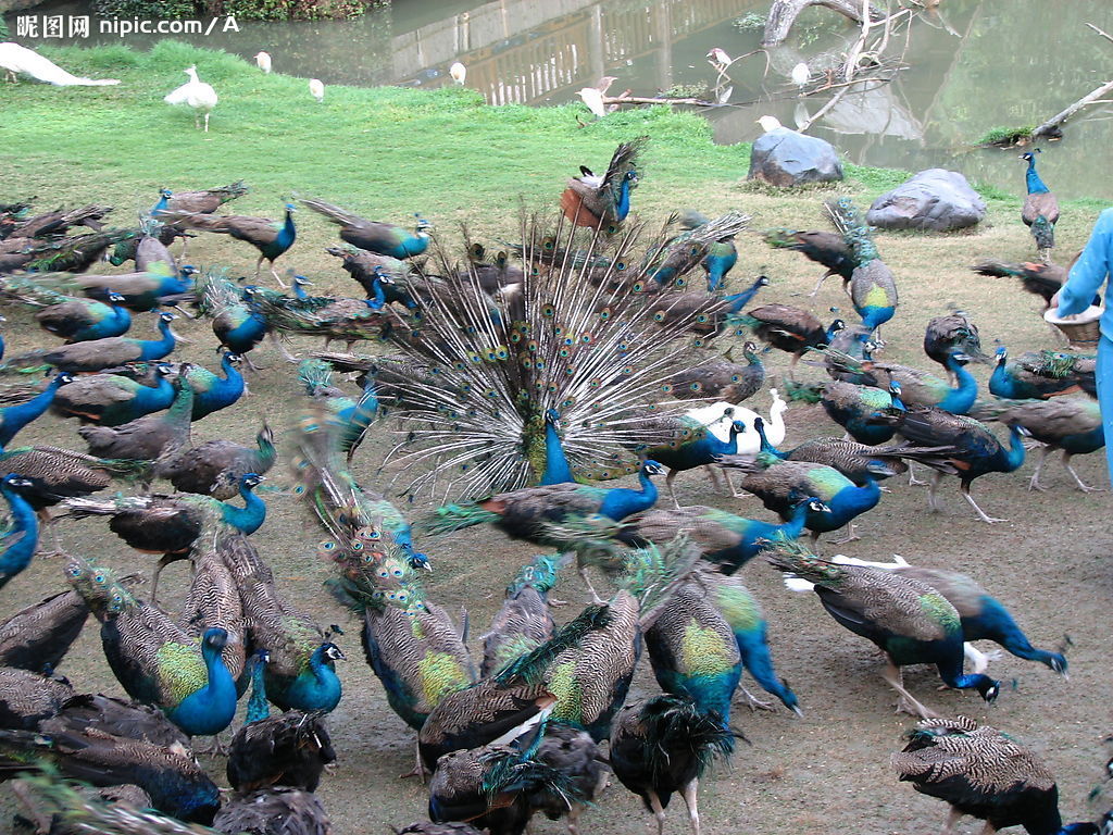 �{(l��n)��ȸ