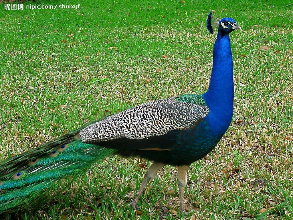 �{(l��n)��ȸ