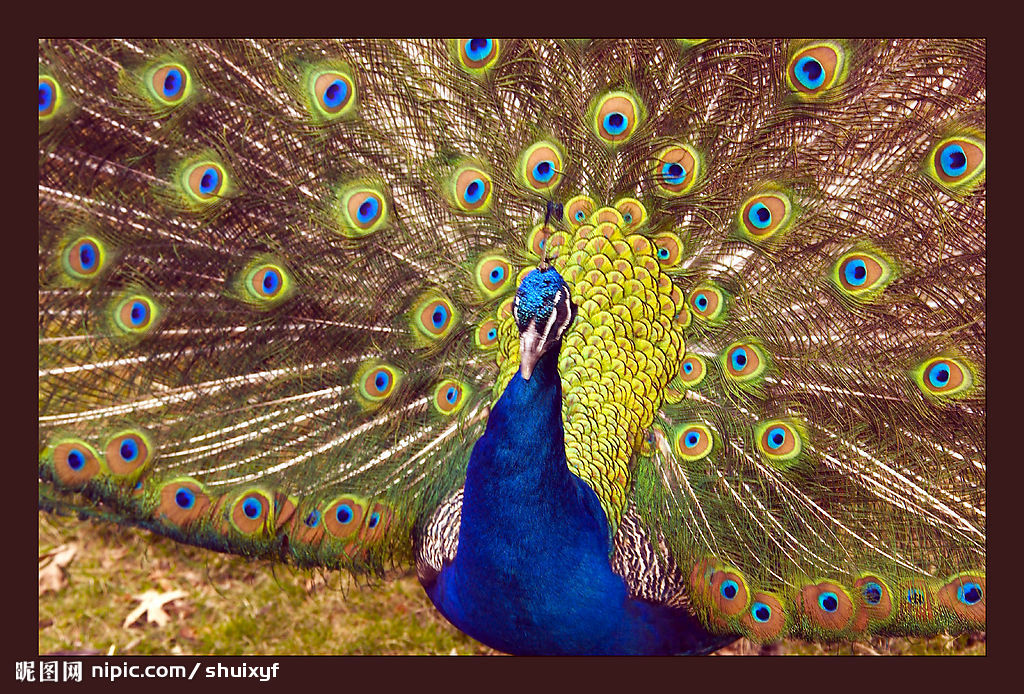 �{(l��n)��ȸ