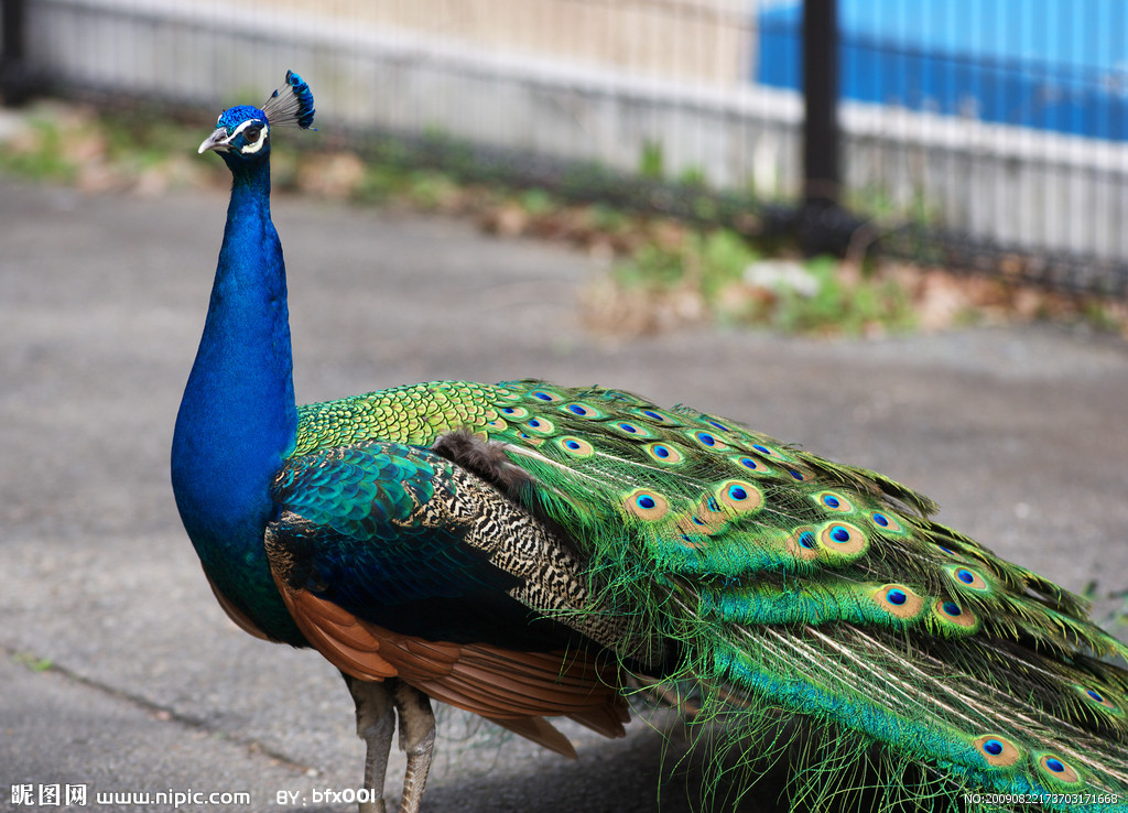 �{(l��n)��ȸ