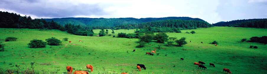 �gӭ�����R����ʡ�{�����B(t��i)�l(f��)չ���޹�˾