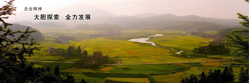 �gӭ�����R����ʡ�{�����B(t��i)�l(f��)չ���޹�˾