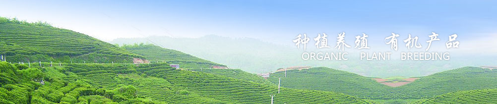 �gӭ�����R����ʡ�{�����B(t��i)�l(f��)չ���޹�˾